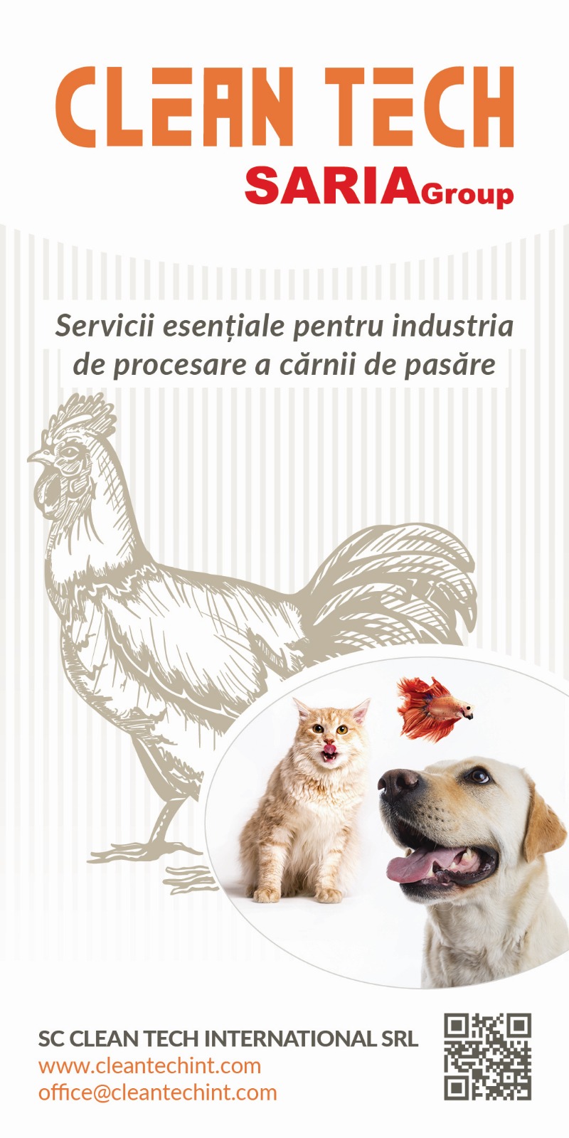 CLEAN TECH INTERNATIONAL